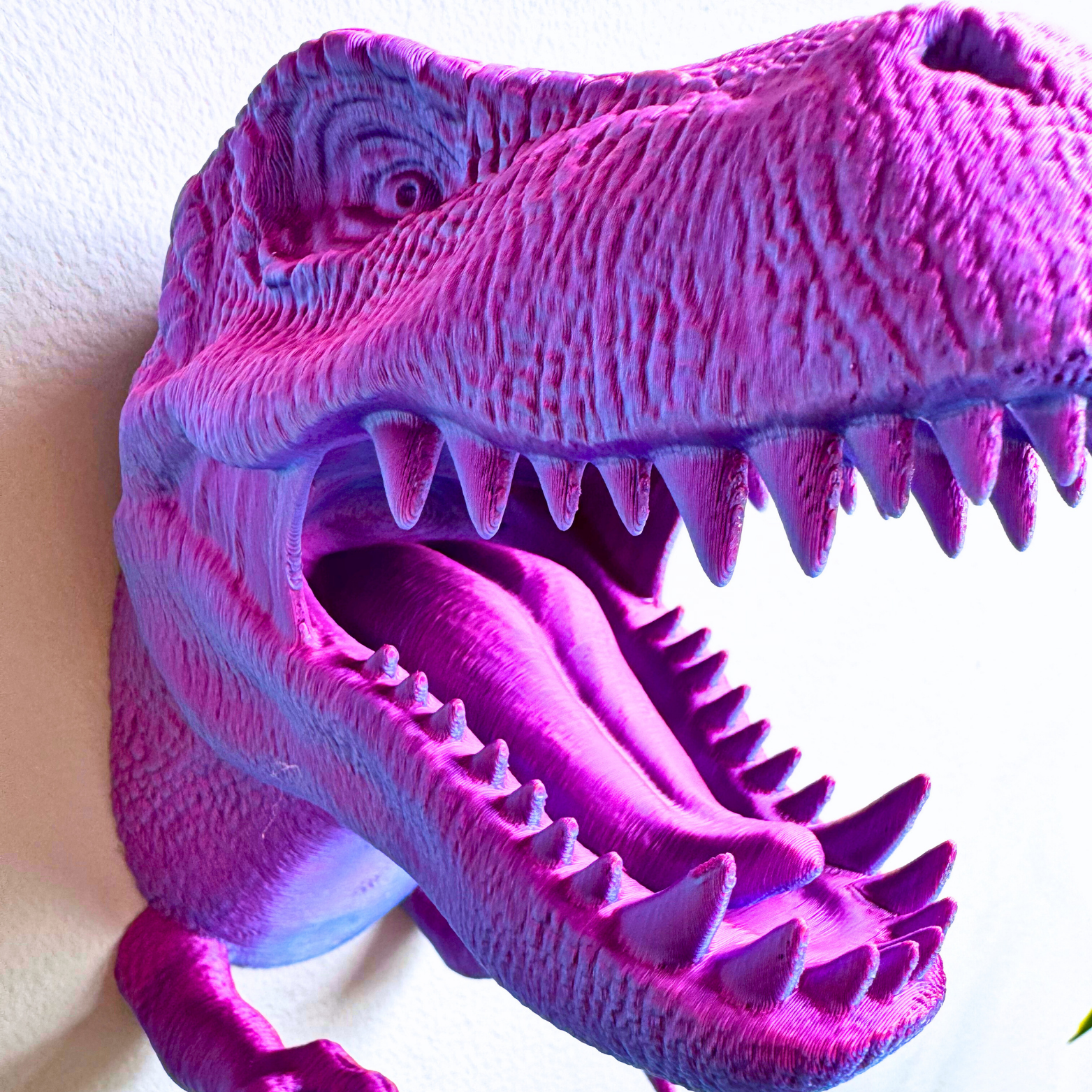 T-Rex Wall Mount Accessory Holder - T-Rex - Dragon Fidgets