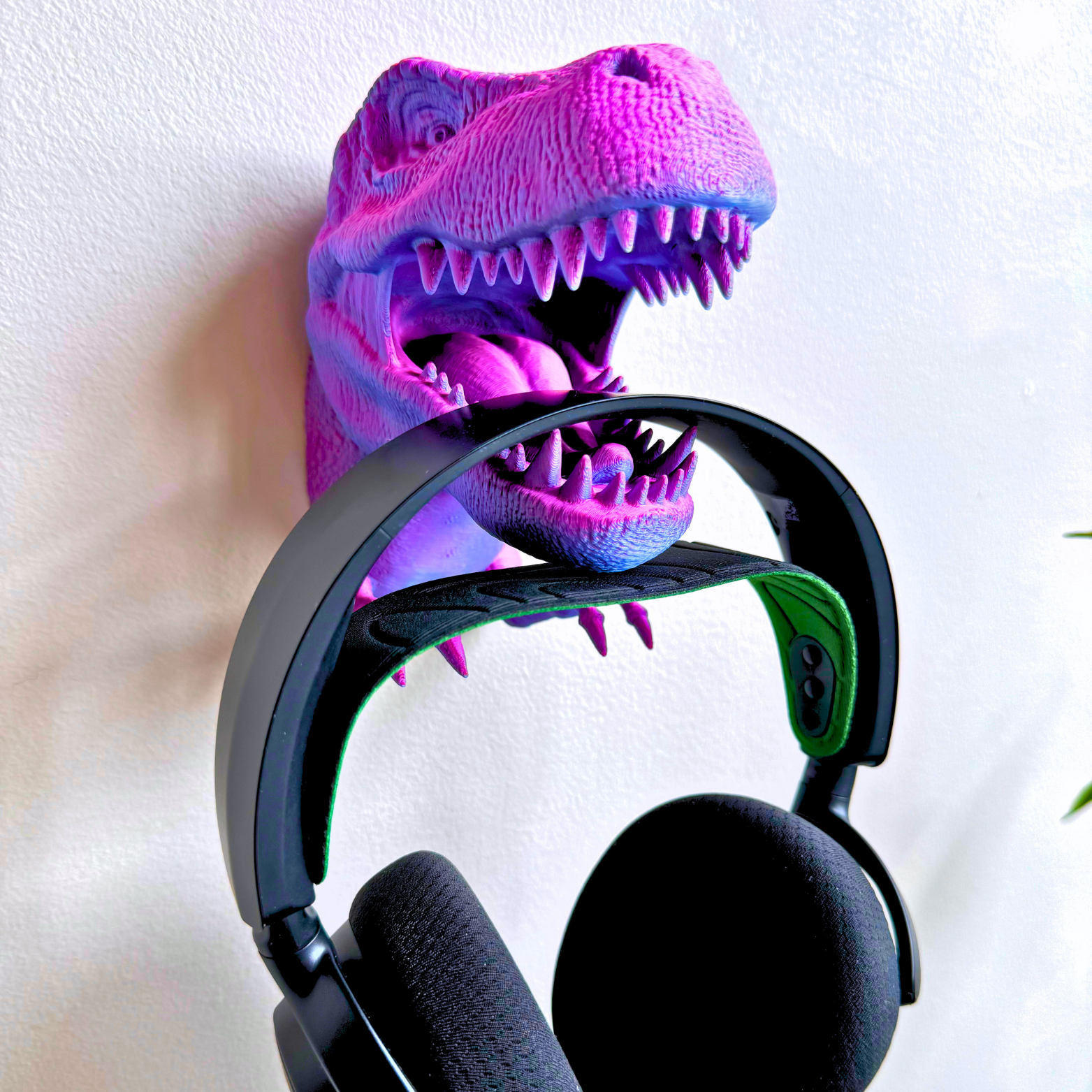 T-Rex Wall Mount Accessory Holder - T-Rex - Dragon Fidgets
