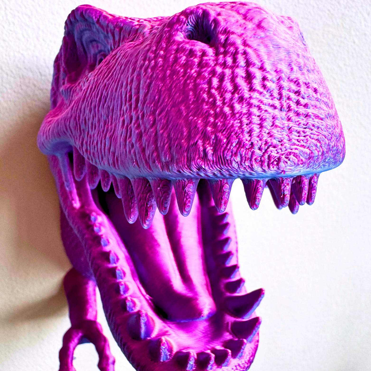 T-Rex Wall Mount Accessory Holder - T-Rex - Dragon Fidgets